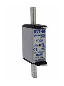 APTSA 100A Fuse Link for KETO 1 (NHG1B-FUSE-100A)