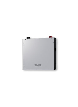 Dyness DL5.0C V2 5.12kWh 51.2V LFP Battery